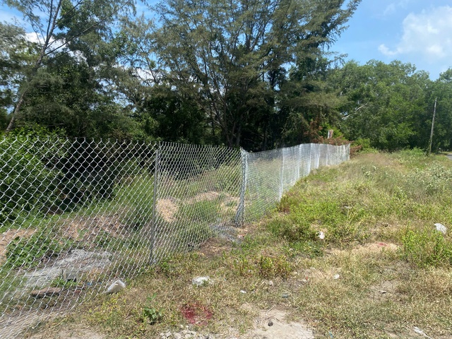 TP.HCM: Đất công liên tục bị tái lấn chiếm - Ảnh 1.