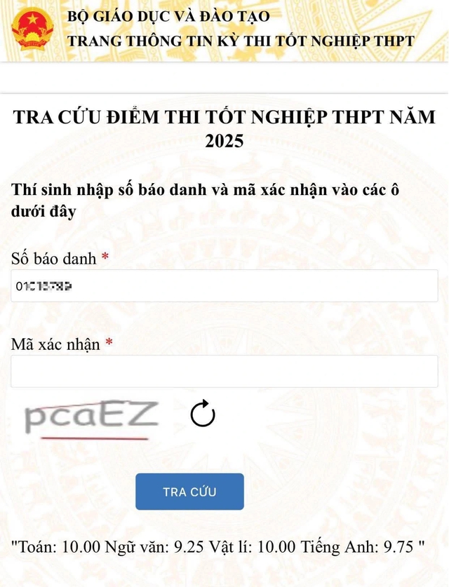 Học tùy cảm hứng và độ tập trung, trở thành thủ khoa cả khối A01 và D01 - Ảnh 2.