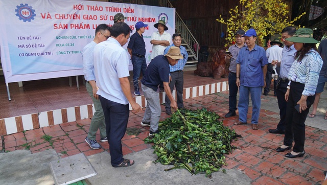 Thân phận lục bình Nam bộ: Ai cũng muốn ‘xử’ lục bình