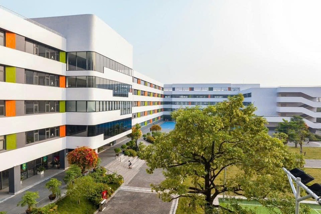 Tranh chấp điều hành hệ thống trường Ngôi Sao Hà Nội, chủ tịch hệ thống gửi đơn tố cáo lên công an - Ảnh 2.