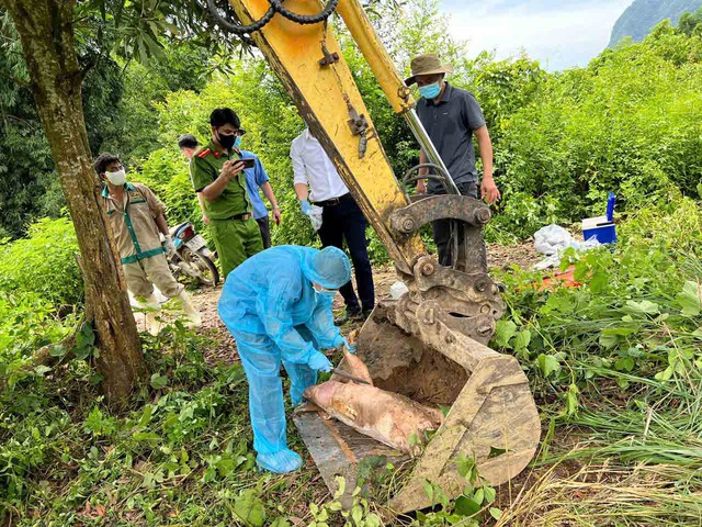 Ngăn lợn bệnh tuồn ra thị trường - Ảnh 3.