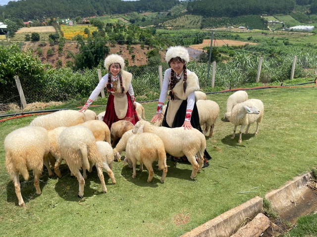 Phường Cam Ly - Đà Lạt: ‘Thủ phủ’ du lịch canh nông tỉnh Lâm Đồng- Ảnh 5.
