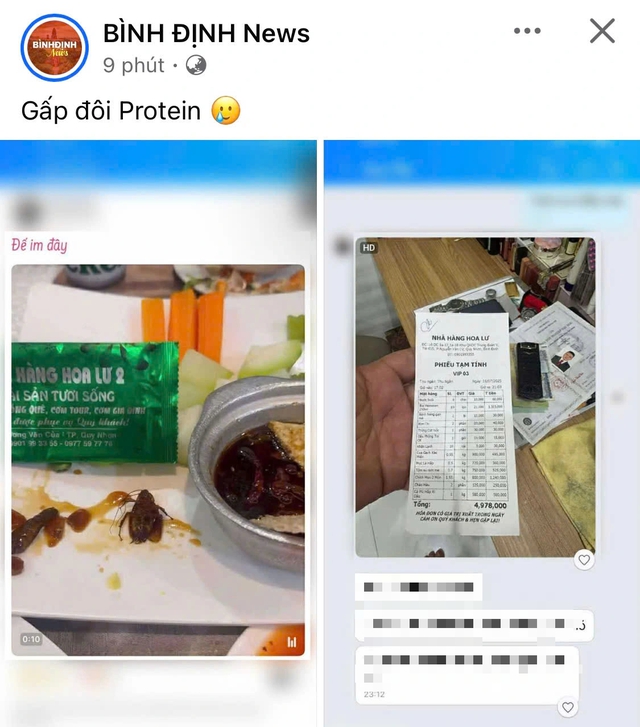Gián trong món ăn tại nhà hàng Hoa Lư 2 ở Quy Nhơn gây xôn xao dư luận - Ảnh 1.
