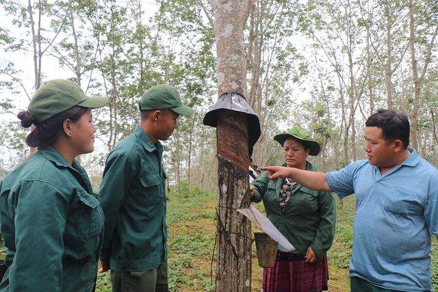 Điểm sáng trong công tác phát triển đảng viên người dân tộc thiểu số Điểm sáng trong công tác phát triển đảng viên người dân tộc thiểu số