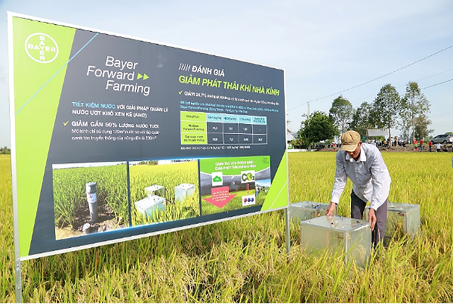 Bayer Việt Nam được vinh danh tại Top 50 Doanh nghiệp Phát triển Bền vững 2025 - Ảnh 2. Bayer Việt Nam được vinh danh tại Top 50 Doanh nghiệp Phát triển Bền vững 2025 - Ảnh 2.