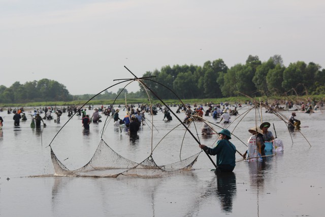 Báu vật vùng cát: Khám phá rừng trằm Trà Lộc và trâm bầu làng Thanh Bình - Ảnh 4.