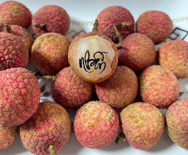 Độc đáo thư pháp siêu mini trên quả vải - Ảnh 2.