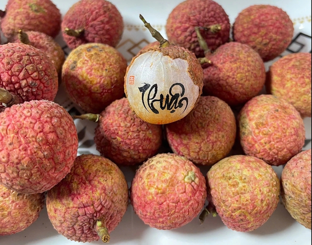 Độc đáo thư pháp siêu mini trên quả vải - Ảnh 4.