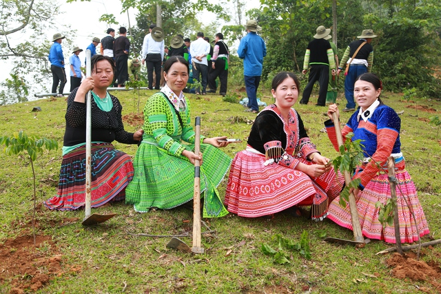 Hành trình rừng cây tử tế - Ảnh 8.