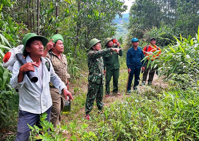 Phó chủ tịch TP.Đà Nẵng leo lên đỉnh núi chỉ đạo dập lửa vụ cháy rừng lớn