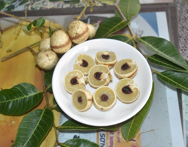 Độc đáo giống nhãn '2 trong 1' ở miền Tây- Ảnh 5.
