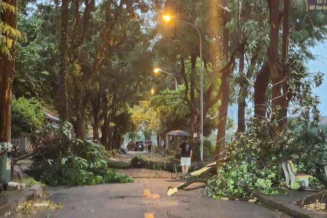 T.Ư Đoàn đề nghị ứng phó khẩn cấp với bão số 3