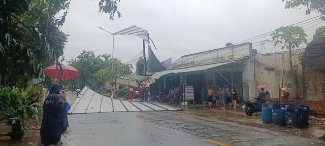 Đồng Nai: Hơn 26.000 khách hàng mất điện sau cơn mưa to kèm gió lớn