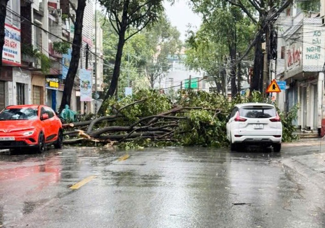 Đồng Nai: Hơn 26.000 khách hàng mất điện sau cơn mưa to kèm gió lớn- Ảnh 2.