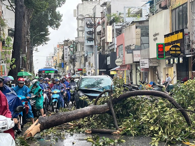 Gió lớn, cây xanh gãy đè ô tô ở trung tâm TP.HCM