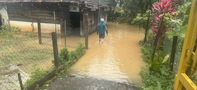 Lâm Đồng: Mưa lớn kèm gió giật kéo dài gây thiệt hại nặng - Ảnh 5.