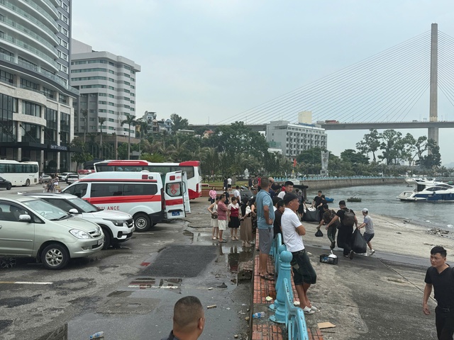 Gấu ơi về nh&agrave; đi con: Nỗi đau lật t&agrave;u tr&ecirc;n vịnh Hạ Long - Ảnh 2.