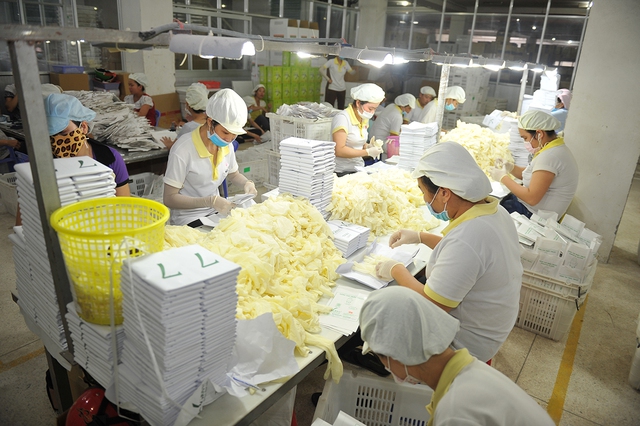 VRG: Từ trụ cột nông nghiệp đến đầu tàu phát triển bền vững- Ảnh 2.