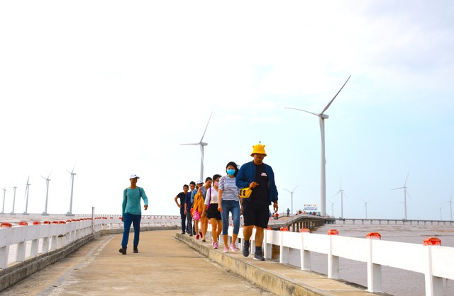 Cà Mau nhiều tiềm năng phát triển điện gió- Ảnh 5.