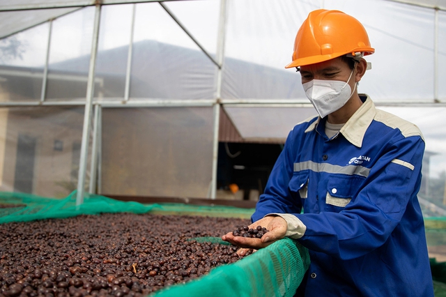 Vì sao gạo, cà phê kiến nghị bỏ thuế VAT?- Ảnh 2.