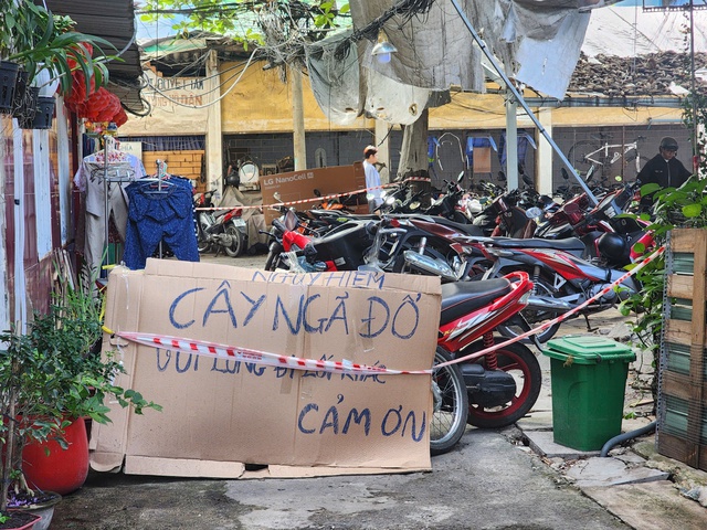 TP.HCM: Cây xanh lớn bật gốc sau mưa, người dân lo ngại nguy cơ đổ ngã - Ảnh 2.