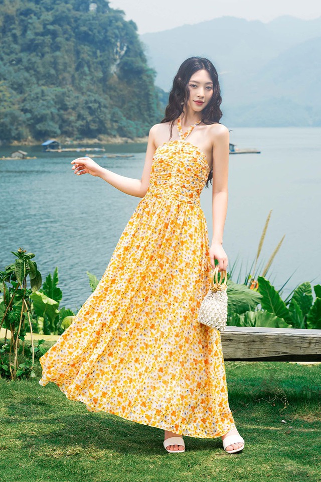Sắc vàng rực rỡ cùng nắng hè- Ảnh 6.