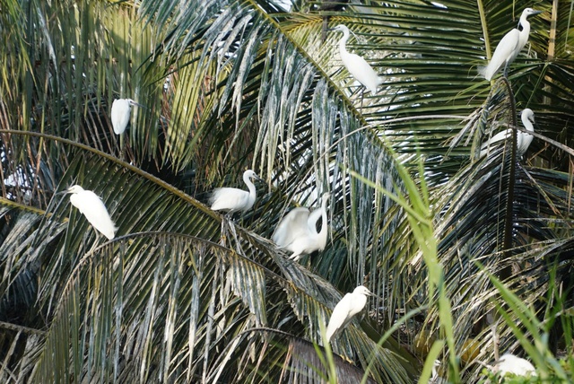 Lan tỏa làn sóng khởi nghiệp, đổi mới sáng tạo tại An Giang - Ảnh 3. Lan tỏa làn sóng khởi nghiệp, đổi mới sáng tạo tại An Giang - Ảnh 3.