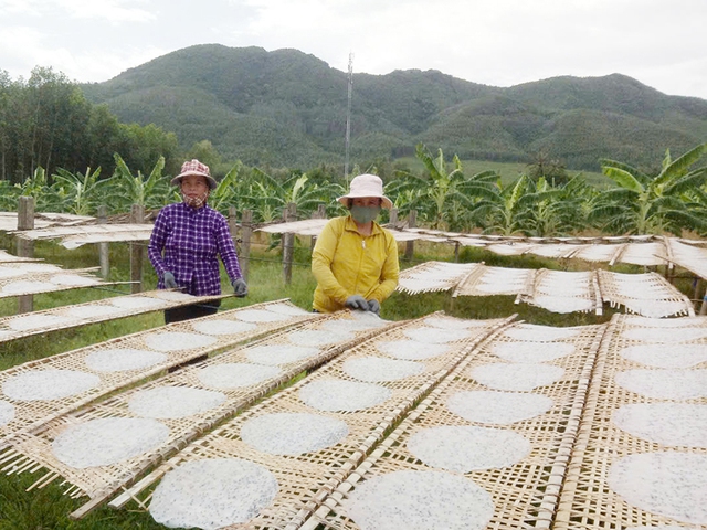 Lãi 200 triệu đồng mỗi năm nhờ nghề làm bánh tráng Lãi 200 triệu đồng mỗi năm nhờ nghề làm bánh tráng