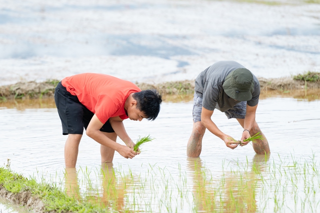 Nghệ sĩ Trung Ruồi, Duy Hưng, Hoàng Trung, Neko lần đầu cày cấy, mò cua bắt ốc- Ảnh 3. Nghệ sĩ Trung Ruồi, Duy Hưng, Hoàng Trung, Neko lần đầu cày cấy, mò cua bắt ốc- Ảnh 3.