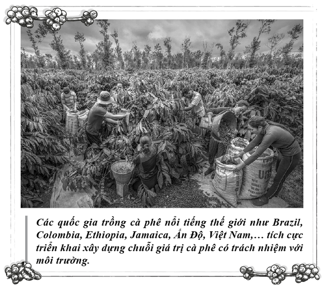 Kỳ 112: Cà phê và sự phát triển bền vững- Ảnh 4. Kỳ 112: Cà phê và sự phát triển bền vững- Ảnh 4.