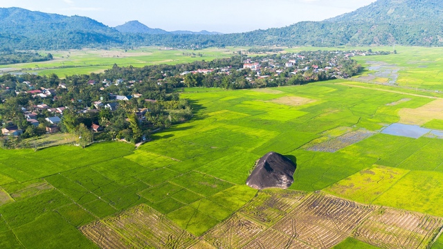 Hành trình đau thương của voi nhà Đắk Lắk và nỗi lòng của người nuôi voi - Ảnh 3.