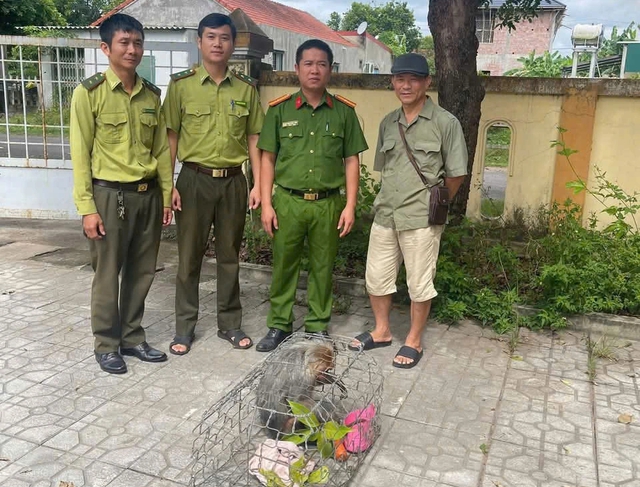 Khỉ mặt đỏ nhiều lần quậy phá, bị người dân bắt giữ giao nộp