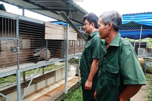 Từ tay trắng đến thu lãi hàng trăm triệu đồng nhờ nuôi chồn hương- Ảnh 1.
