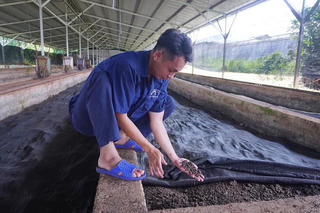 Hướng đi nông nghiệp xanh của các công ty cao su Việt Nam- Ảnh 3. Hướng đi nông nghiệp xanh của các công ty cao su Việt Nam- Ảnh 3.