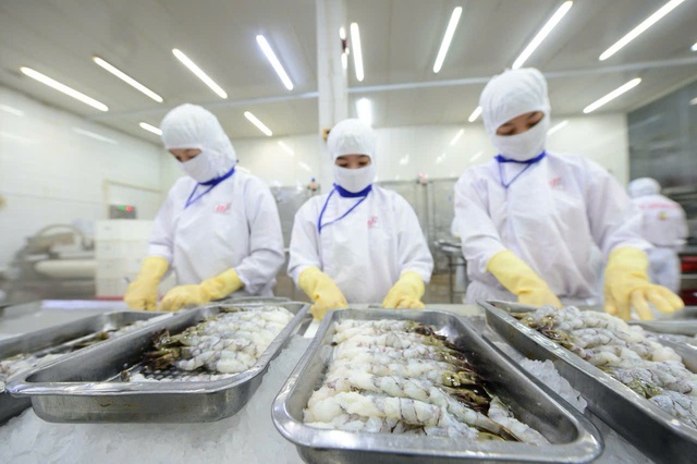 Doanh nghiệp thủy sản n&ecirc;u h&agrave;ng loạt bất cập về thuế GTGT  - Ảnh 1.