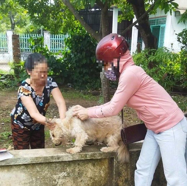 Đồng Nai: Người đàn ông tử vong khi bị chó dại liếm tay có vết thương hở - Ảnh 1.