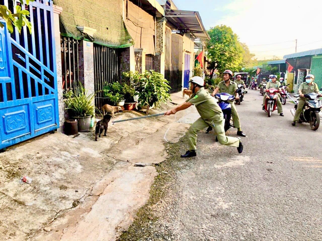 Đồng Nai: Người đàn ông tử vong khi bị chó dại liếm tay có vết thương hở - Ảnh 2.