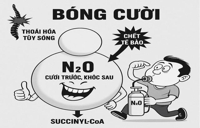 Người đàn ông bất tỉnh trên đường do ngộ độc bóng cười Người đàn ông bất tỉnh trên đường do ngộ độc bóng cười