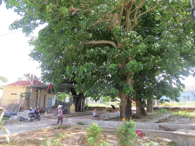 Trăm năm Chợ Chiều - Giếng Thí - Ảnh 3.