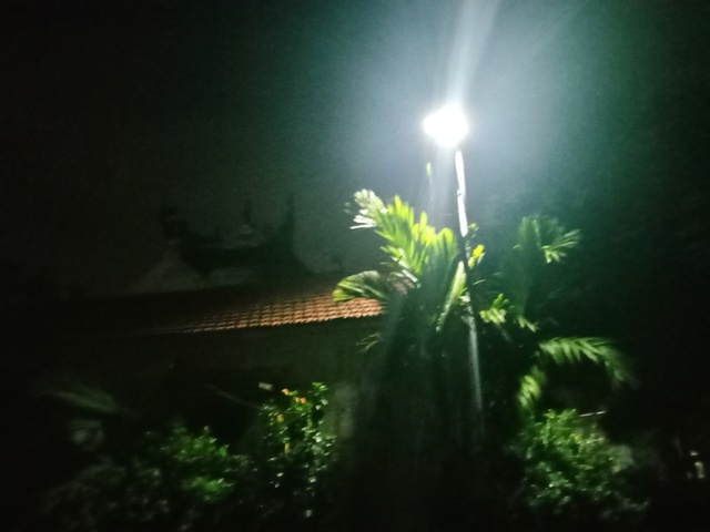 - Ảnh 2. - Ảnh 2.