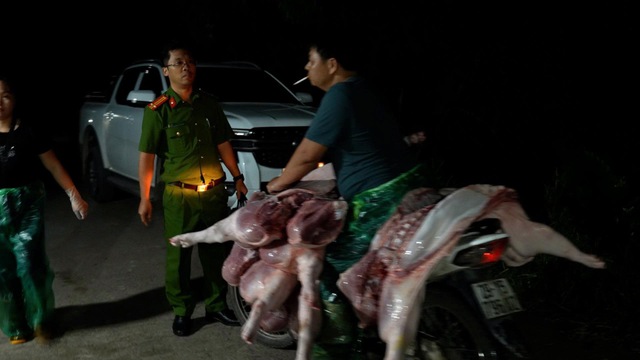 Đường dây giết mổ, tiêu thụ lợn nhiễm bệnh tại Hà Nội- Ảnh 1. Đường dây giết mổ, tiêu thụ lợn nhiễm bệnh tại Hà Nội- Ảnh 1.