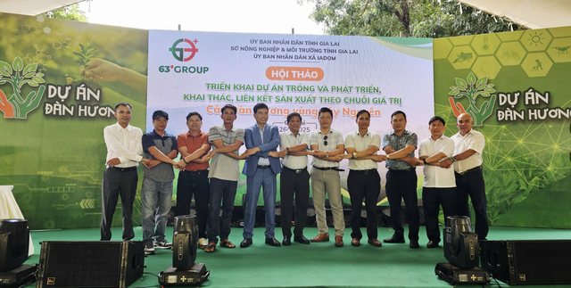 C&acirc;y đ&agrave;n hương - Giải ph&aacute;p xanh cho T&acirc;y nguy&ecirc;n ph&aacute;t triển kinh tế- Ảnh 1.