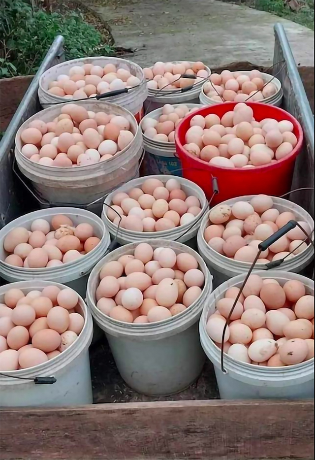 Xuất khẩu sang Campuchia bất ngờ tăng mạnh- Ảnh 2.