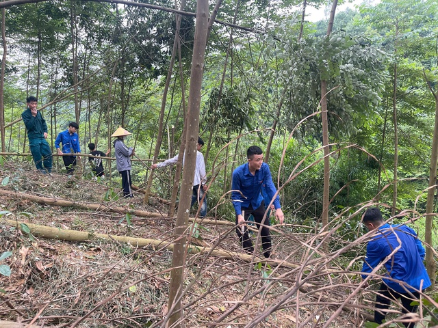 ‘Không bàn lùi, chỉ bàn tiến' trên công trường 500kV- Ảnh 5.