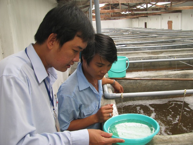 Đề nghị buôn vàng trang sức, phân bón không cần điều kiện kinh doanh- Ảnh 2.