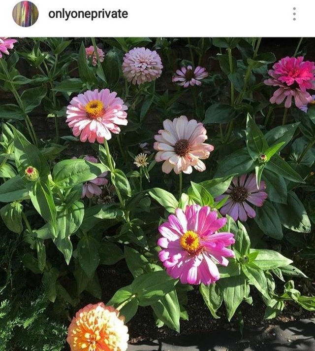 

Bài đăng của One trên Instagram cá nhân vào năm 2019  
