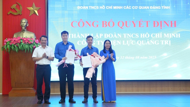 Thành lập, tiếp nhận Đoàn cơ sở Công ty Điện lực Quảng Trị - Ảnh 1.