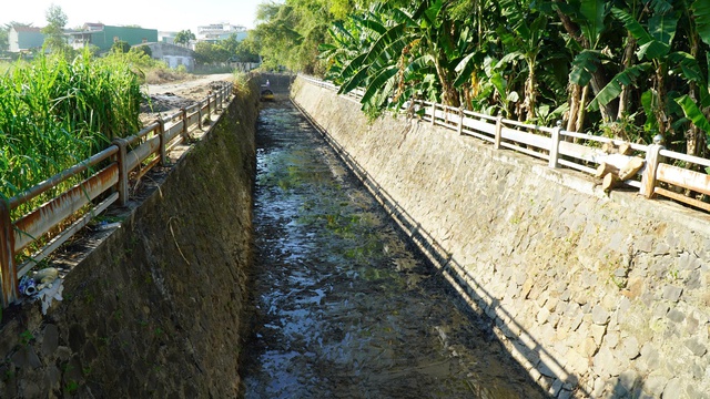 Quảng Ngãi 'hồi sinh' hồ điều hòa Bàu Cả, xử lý ô nhiễm kéo dài - Ảnh 3.
