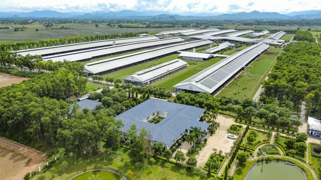 Brand Finance: Vinamilk vươn lên dẫn đầu thế giới về tiềm năng thương hiệu ngành sữa- Ảnh 3.