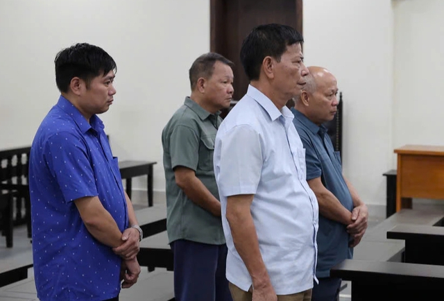 Đất rừng Sóc Sơn bị 'xẻ thịt' suốt 10 năm, cựu lãnh đạo xã bị án tù - Ảnh 1.